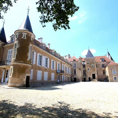 Chateau D'Island Vezelay Pontaubert Kültér fotó