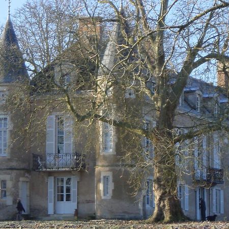 Chateau D'Island Vezelay Pontaubert Kültér fotó
