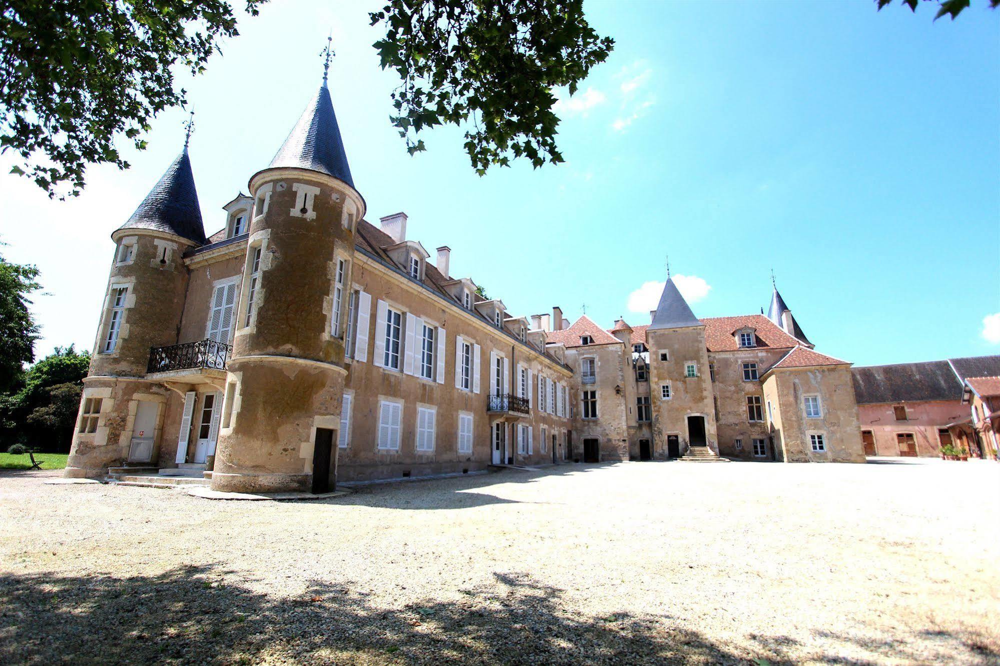 Chateau D'Island Vezelay Pontaubert Kültér fotó
