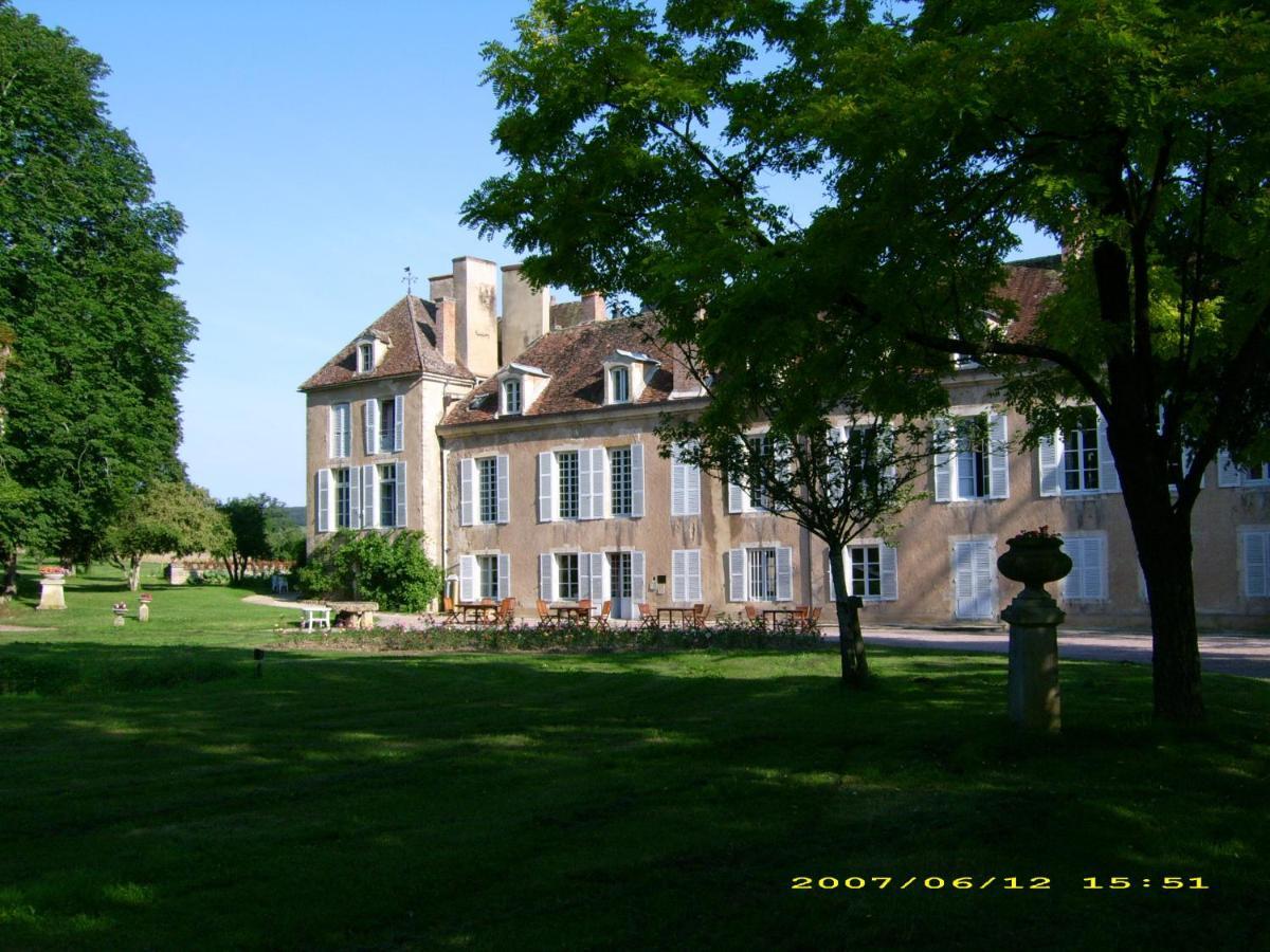 Chateau D'Island Vezelay Pontaubert Kültér fotó