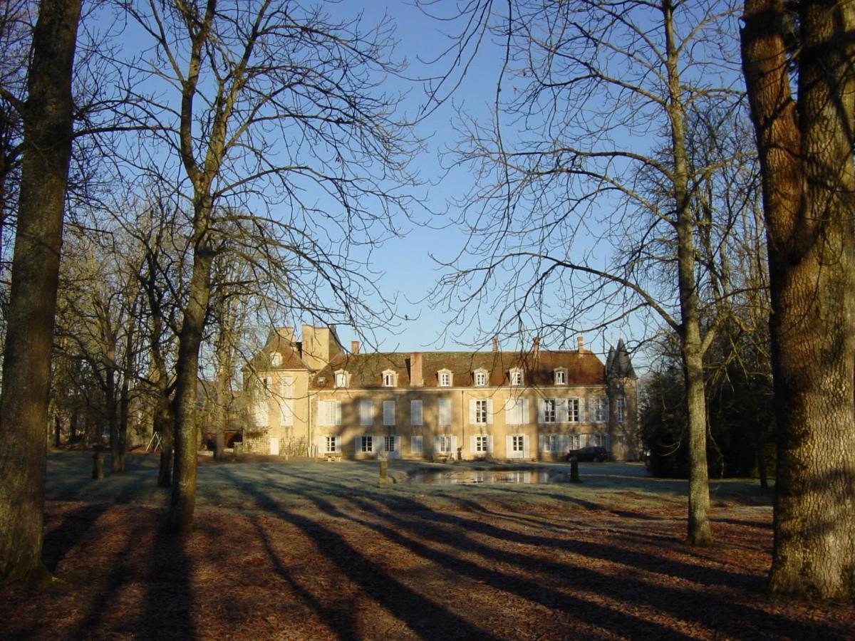 Chateau D'Island Vezelay Pontaubert Kültér fotó