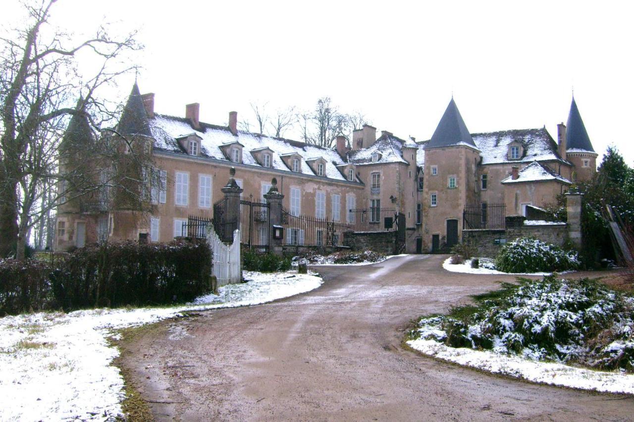 Chateau D'Island Vezelay Pontaubert Kültér fotó