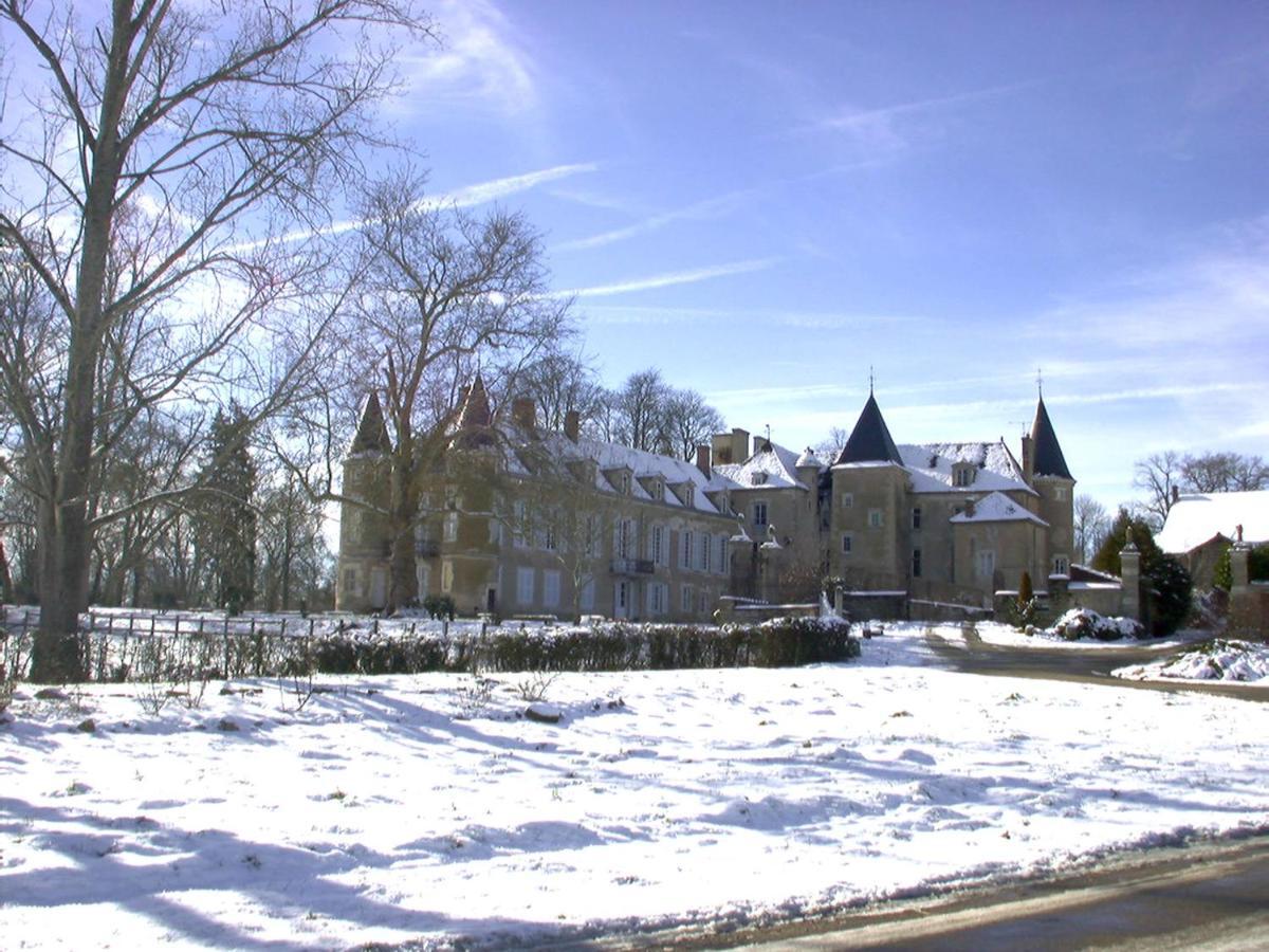 Chateau D'Island Vezelay Pontaubert Kültér fotó