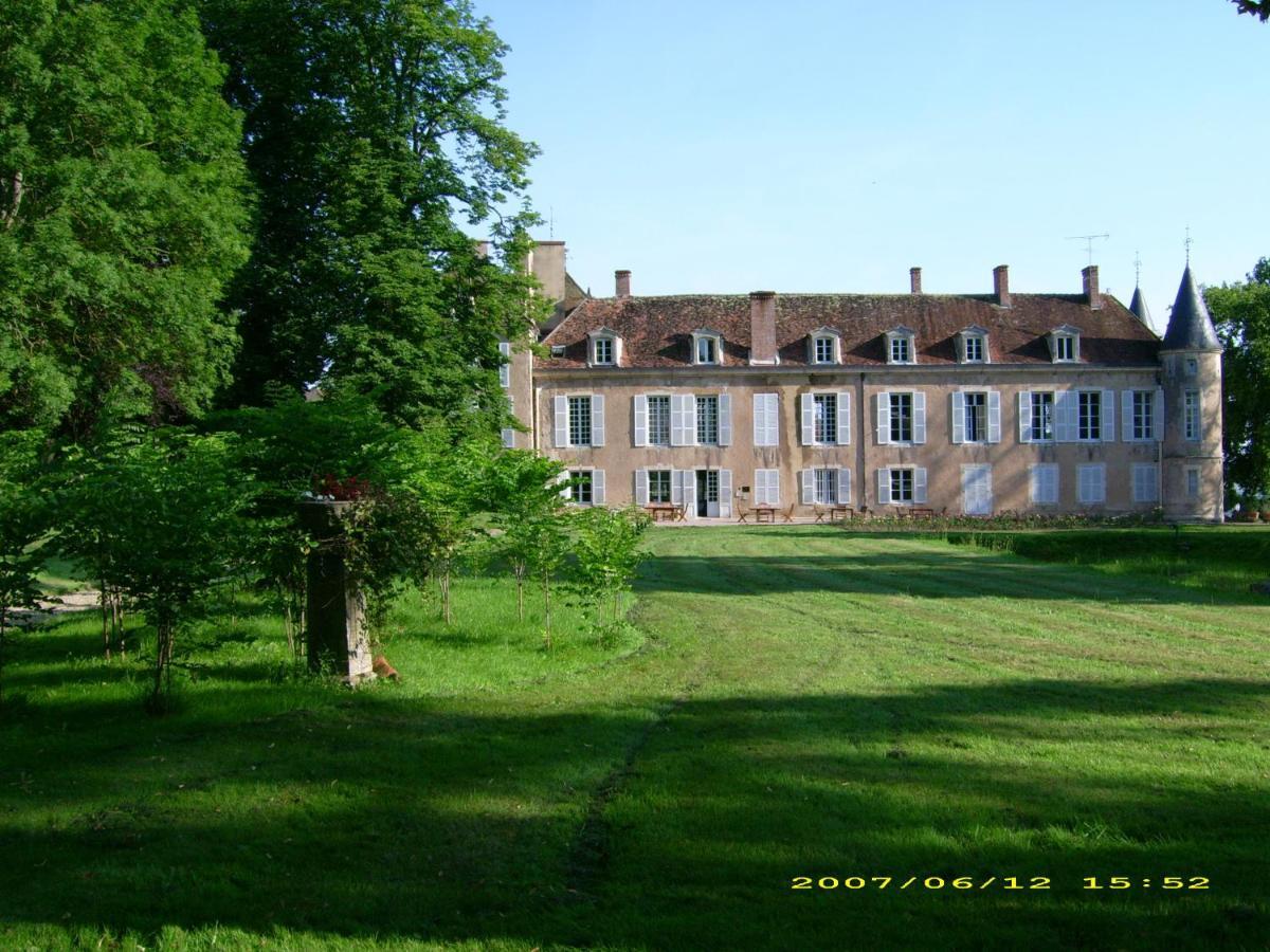 Chateau D'Island Vezelay Pontaubert Kültér fotó